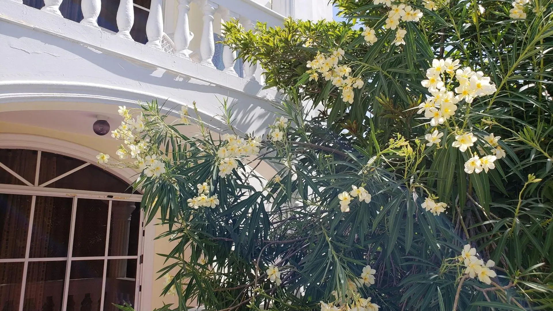 Costambar Beachside Serviced Apartment With Pool No1 Puerto Plata