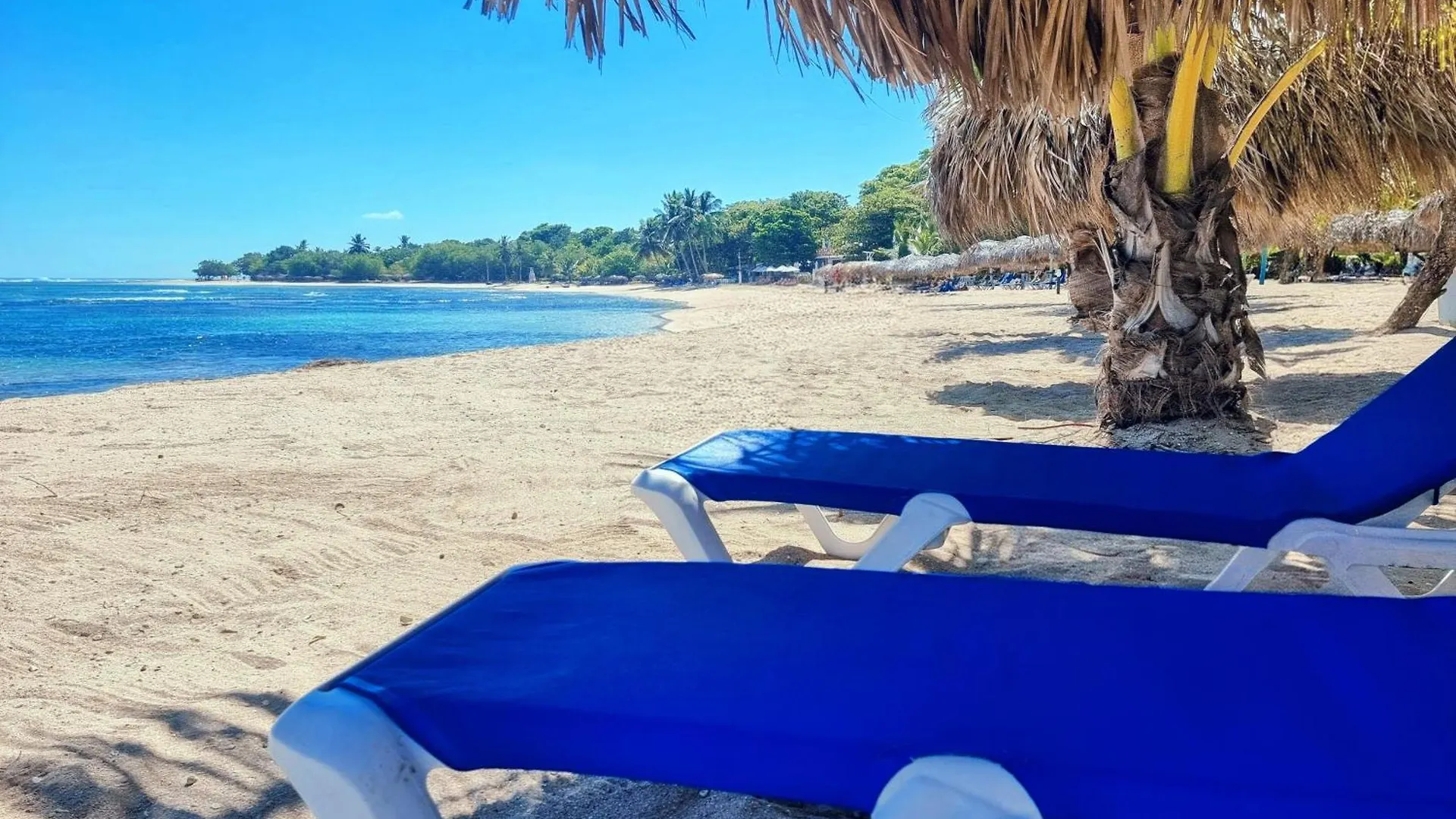 Costambar Beachside Serviced Apartment With Pool No1 Puerto Plata